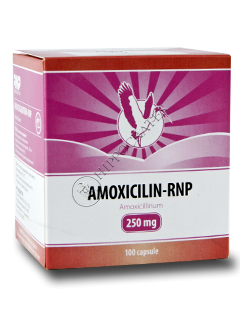 Amoxicilina