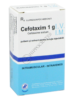 Cefotaxim