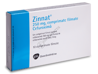 Zinnat