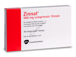 Zinnat