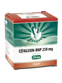 Cefalexin