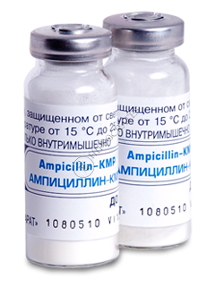 Ampicillin-KMP