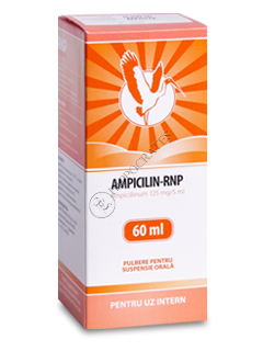 Ampicillin-RNP