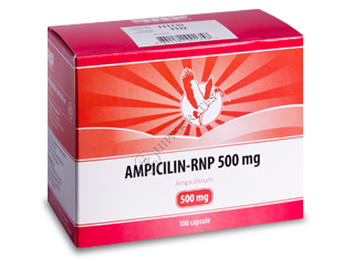 Ampicillin-RNP