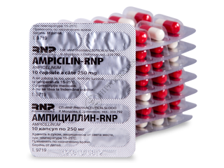 Ampicillin-RNP