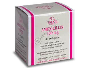 Amoxicilina