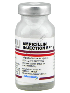 Ampicillina