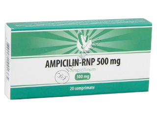 Ampicillin-RNP