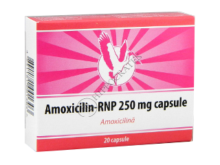 Amoxicilina