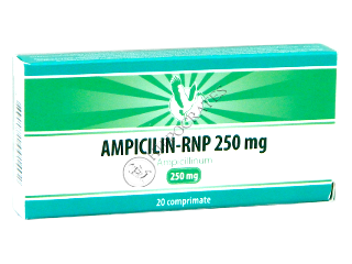 Ampicillin-RNP