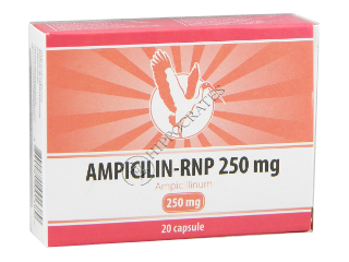 Ampicillin-RNP