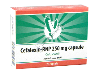 Cefalexin