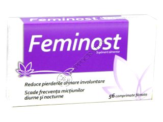 Feminost