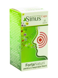 Sinus