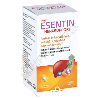 Esentin Hepasupport