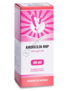 Amoxicilina