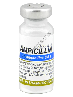 Ampicillin-KMP