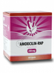 Amoxicilina