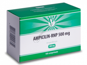 Ampicillin-RNP