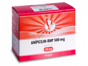 Ampicillin-RNP