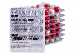 Ampicillin-RNP