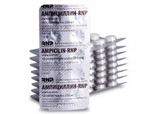 Ampicillin-RNP