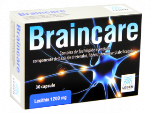 Braincare Leben