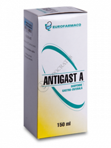 Antigast A