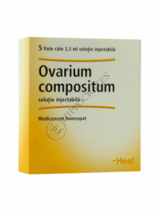 Ovarium compositum