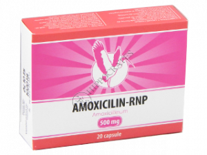 Amoxicilina