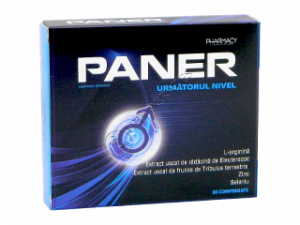 Paner