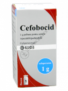 Cefobocid