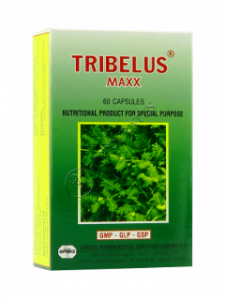 Tribelus Maxx