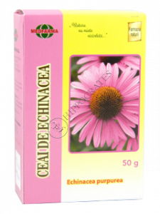 Echinacea purpurea (Echinacea, Эхинацея) flores