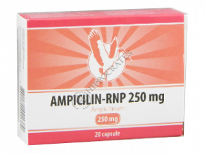 Ampicillin-RNP