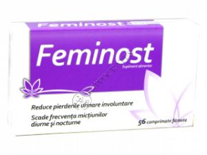 Feminost