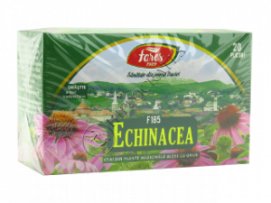 Echinacea purpurea (Echinacea, Эхинацея) flores