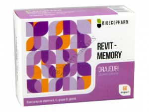 Revit - Memory