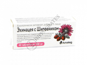 Echinacea cu maces