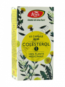 Colesterol 1