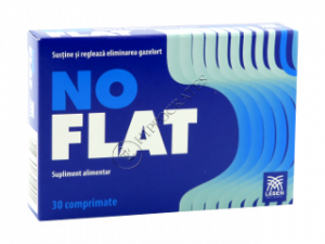 NoFlat