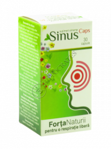 Sinus