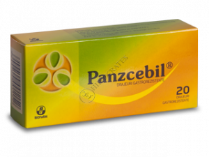 Panzcebil