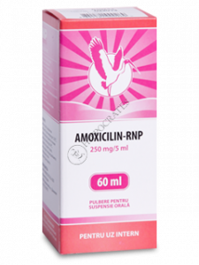 Amoxicilina