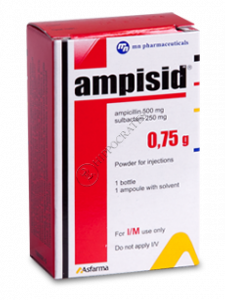 Ampisid IM