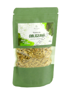 Rizomi de obligeana