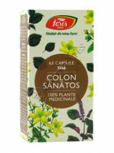 Colon sanatos
