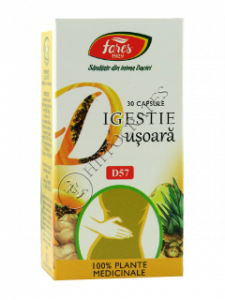 Digestie usoara