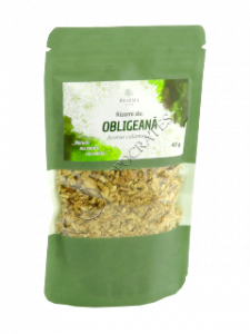 Rizomi de obligeana